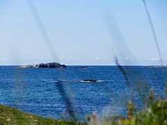 20140627-VM-IMG_4718