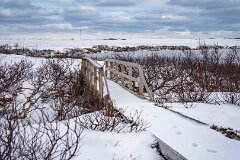 20250309-RL-DSC04204