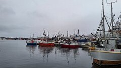 20250301-TR-IMG1212