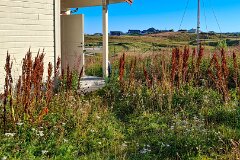 20250904-JW-IMG1522