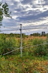 20250906-JW-IMG1528