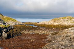20250910-RL-DSC05230