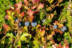 20250908-RL-DSC05083