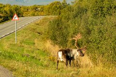 20250911-RL-DSC05251