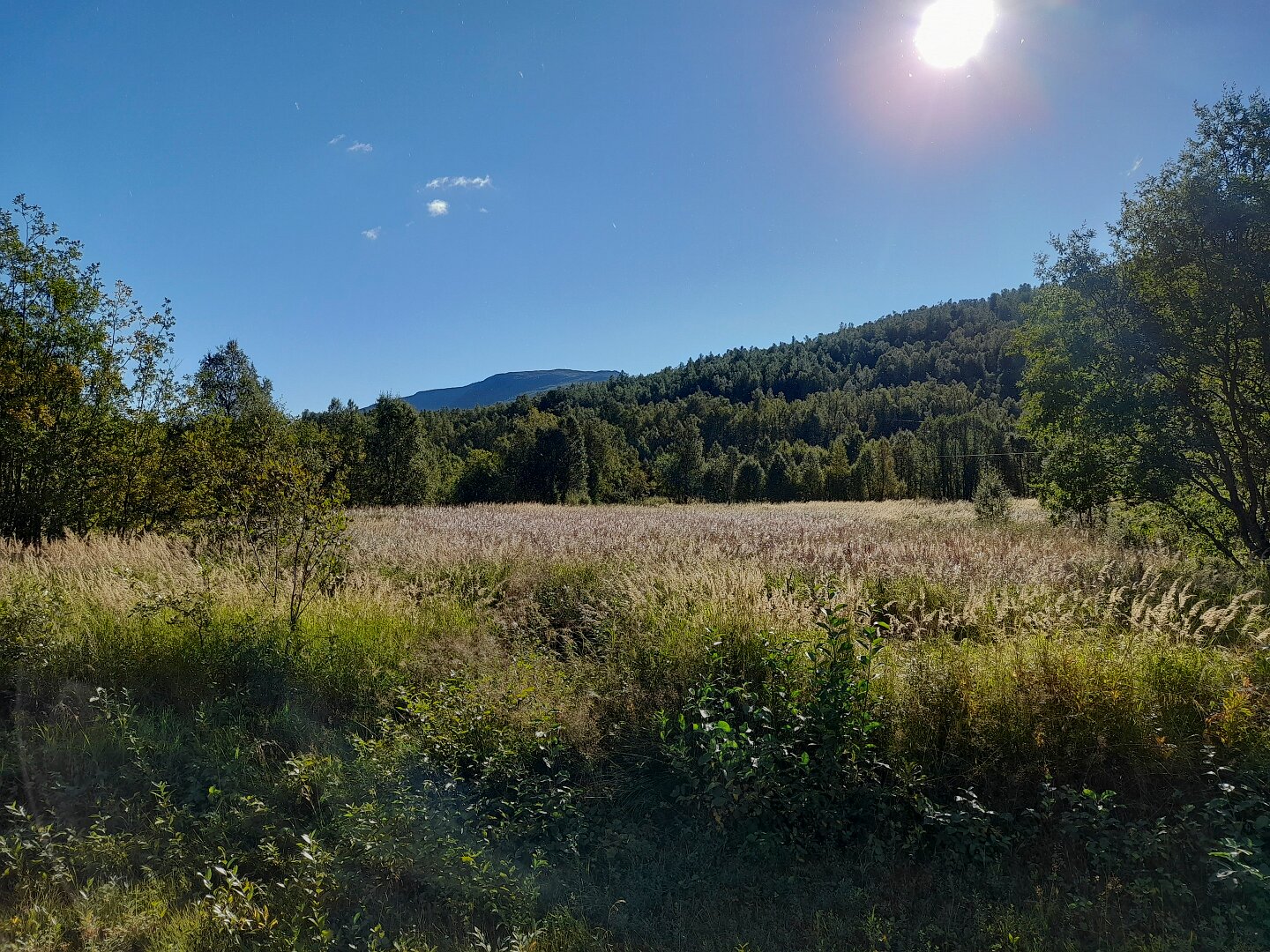 20250909-DH-IMG1580.jpg