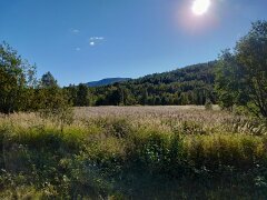 20250909-DH-IMG1580