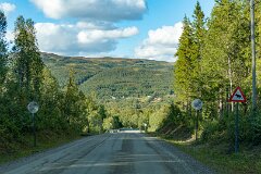 20250909-RL-DSC05194