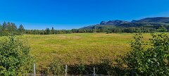 20250909-RL-IMG1561