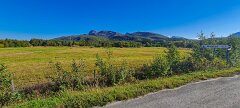 20250909-RL-IMG1562