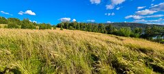 20250909-RL-IMG1567