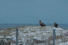 20251111-RL-DSC05416