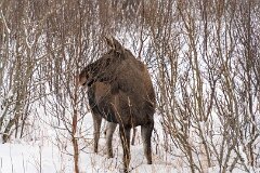 20251117-RL-DSC05509