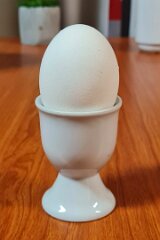 20251115-RL-IMG015-2