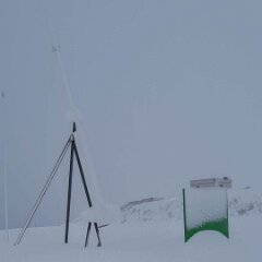 20251115-RL-IMG015-3