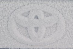 20251116-RL-IMG018-3