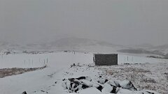 20251113-JW-IMG017-3