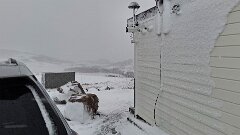 20251113-JW-IMG017-6