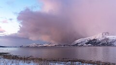 20251117-RL-DSC05516