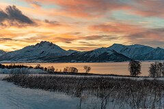 20251117-RL-DSC05531