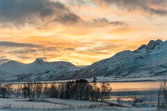 20251117-RL-DSC05535