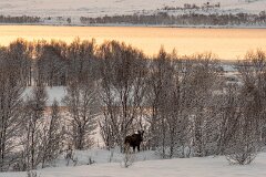 20251117-RL-DSC05538