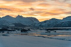 20251117-RL-DSC05539