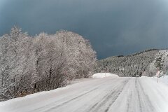 20251117-RL-DSC05544