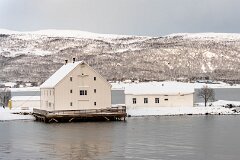 20251117-RL-DSC05564