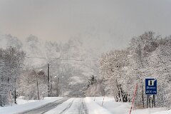 20251117-RL-DSC05574