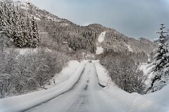 20251117-RL-DSC05581