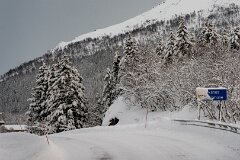 20251117-RL-DSC05584