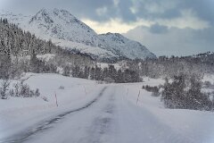 20251117-RL-DSC05585