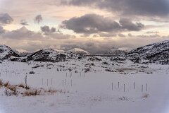 20251117-RL-DSC05602