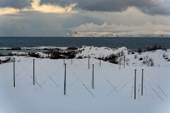 20251117-RL-DSC05605