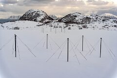 20251117-RL-DSC05606