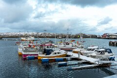 20251117-RL-DSC05612