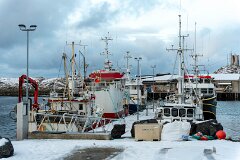 20251117-RL-DSC05613