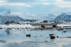 20251117-RL-DSC05618