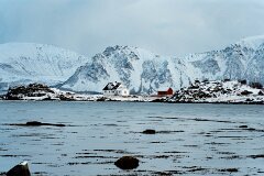 20251117-RL-DSC05619