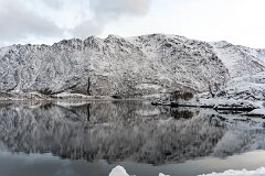 20251117-RL-DSC05628