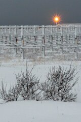 20251115-RL-DSC05438