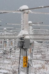 20251115-RL-DSC05445