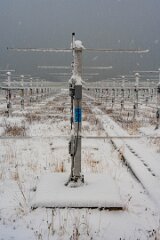 20251115-RL-DSC05446