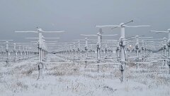 20251115-RL-IMG015-10