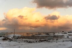 20251116-RL-DSC05490