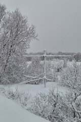 20251115-TR-IMG016-3