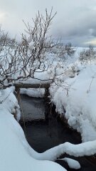 20251116-TR-IMG016-8