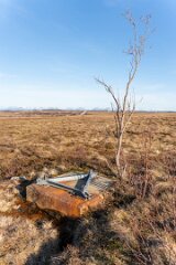 20260416-RL-DSC06342