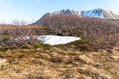 20260416-RL-DSC06358