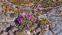 20260416-RL-IMG023-9